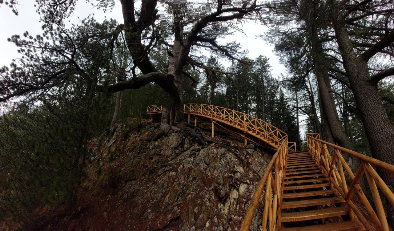 Free Spa В Св. Иван Рилски - Сладък Дом Сред Лукс Bansko Extérieur photo